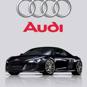Kit d’amortisseur Nitron NTR R1 Audi R8 V8