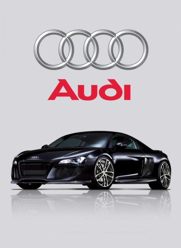 Kit d’amortisseur Nitron NTR R1 Audi R8 V8