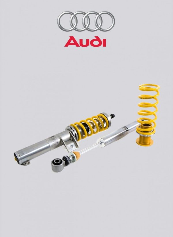 Kit d’amortisseurs Öhlins Road & Track Audi TT MkII