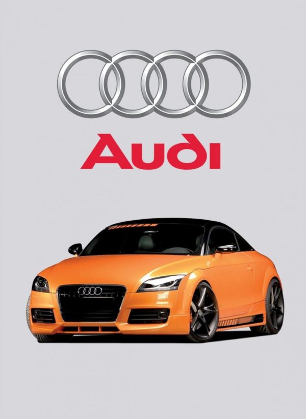 Kit d’amortisseurs Öhlins Road & Track Audi TT MkII – Image 2