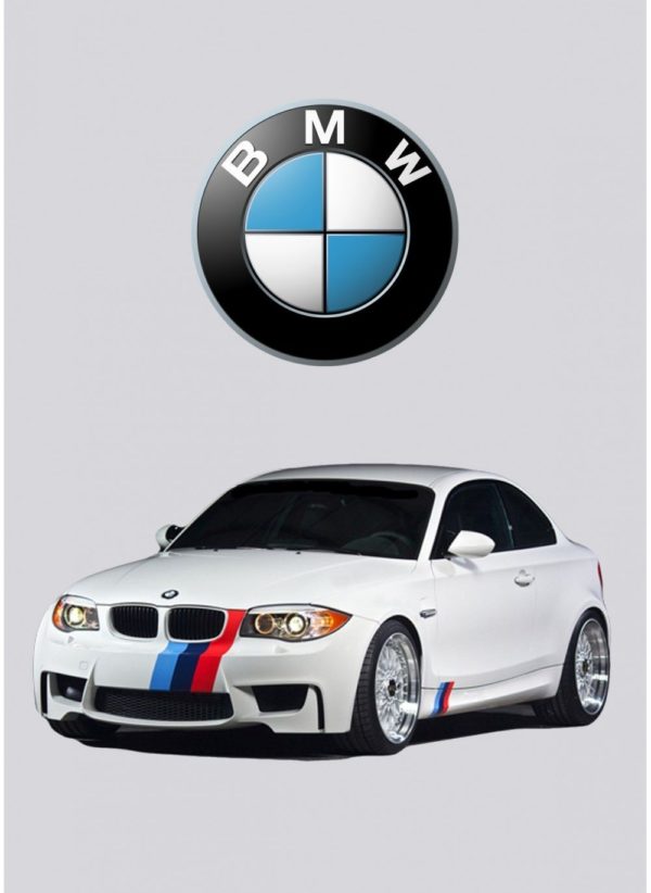 Kit d’amortisseurs Öhlins Road & Track BMW 1M E82 – Image 3