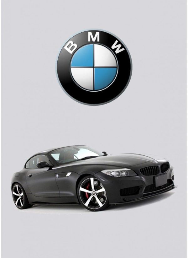 Kit d’amortisseurs Öhlins Road & Track BMW Z4 E89 – Image 3