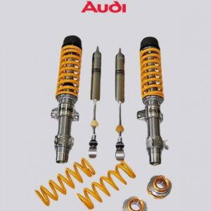 Kit d’amortisseurs Öhlins OH AGAUD MI00 Road & Track Audi A1 Quattro 333 LE - S1