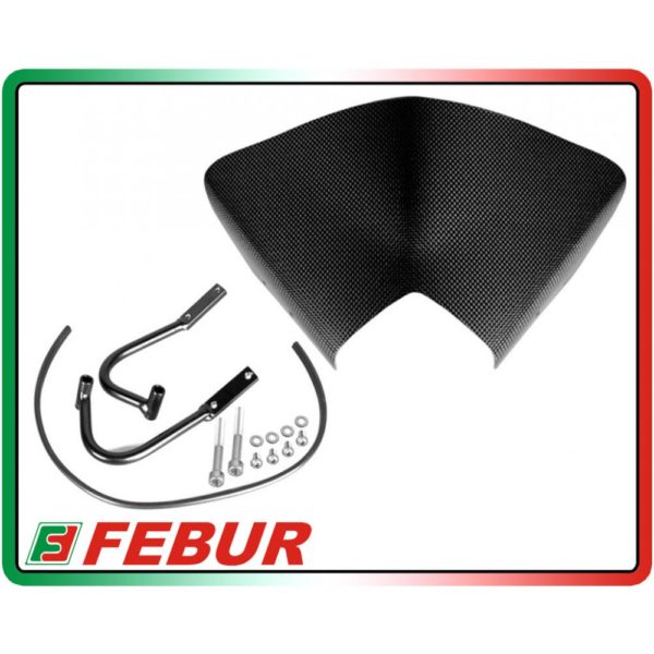 Écran carbone Fébur Yamaha FZ8 (2010-2015)