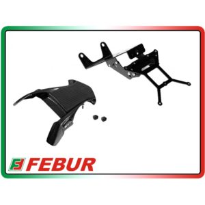 Support de plaque d'immatriculation en carbone Febur pour Ducati Monster 2002-2008