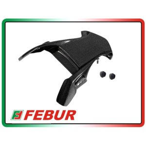 Support de plaque en carbone Febur pour Ducati Monster (2002-2008)
