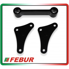 Maillon de course pour bras oscillant Febur Kawasaki ZX-10R 2011-2019